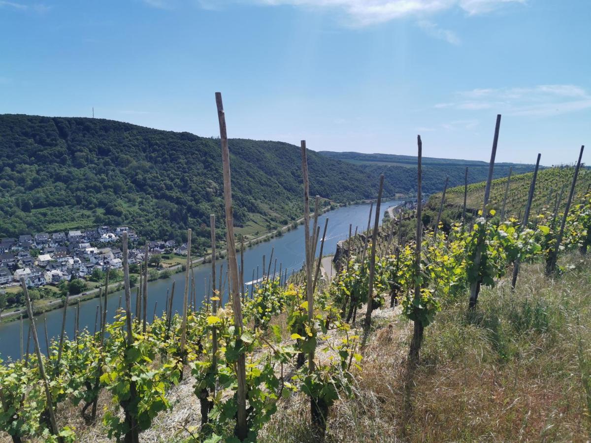 Apartamento Auszeit Rhein-Mosel Waldesch Exterior foto